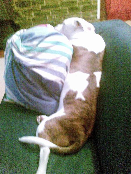 mode repos