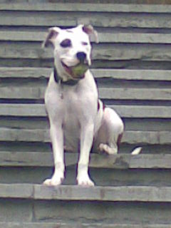 pose photo